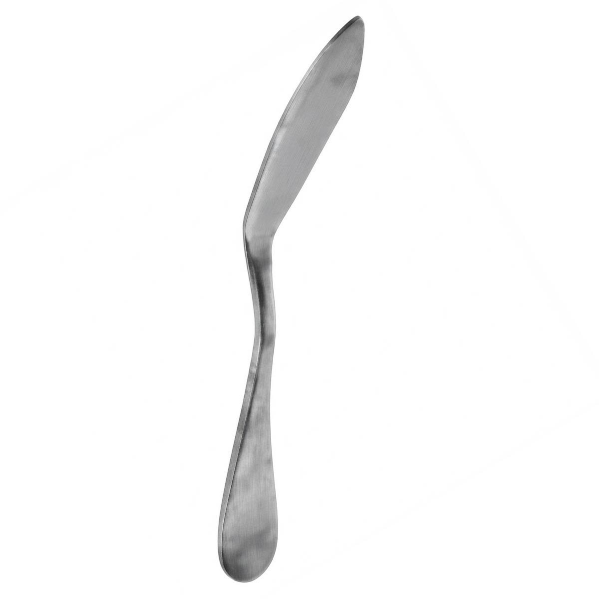 Rivoli | Set de 12 Palas Pescado de 19 cm | Acero Inoxidable